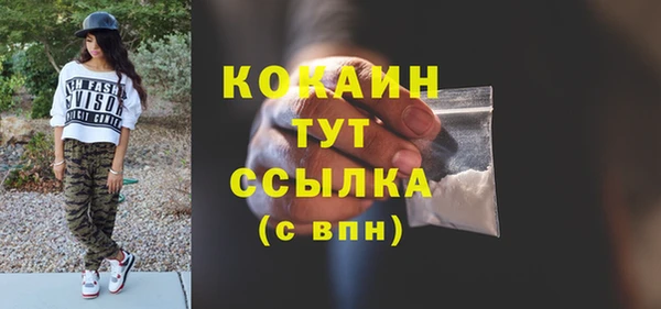 ешки Бородино