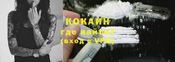 ешки Бородино