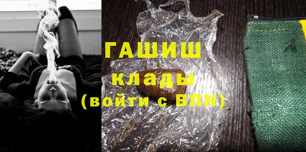 гидра Елабуга