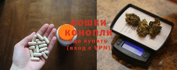 ешки Бородино