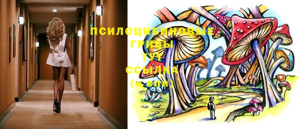 ешки Бородино